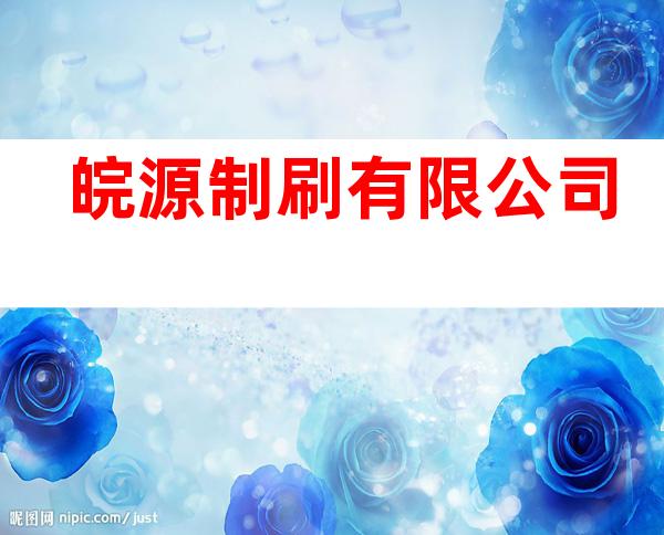 皖源制刷有限公司