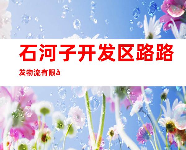 石河子开发区路路发物流有限公司