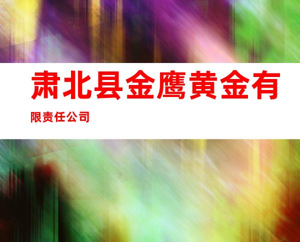 肃北县金鹰黄金有限责任公司