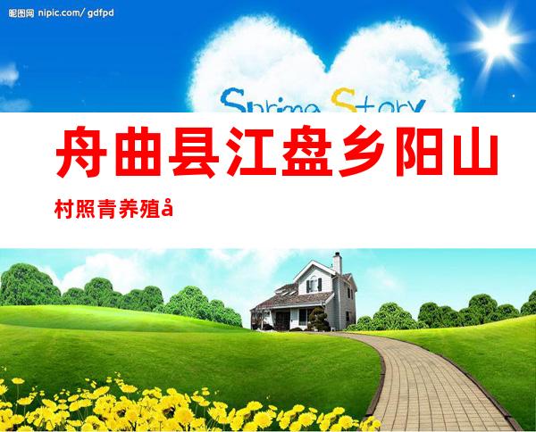 舟曲县江盘乡阳山村照青养殖农民专业合作社