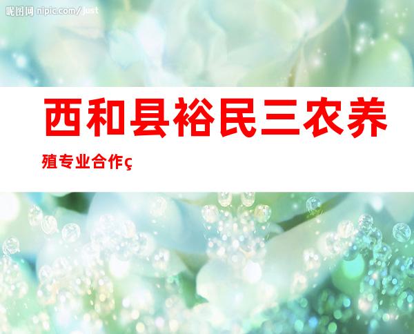 西和县裕民三农养殖专业合作社