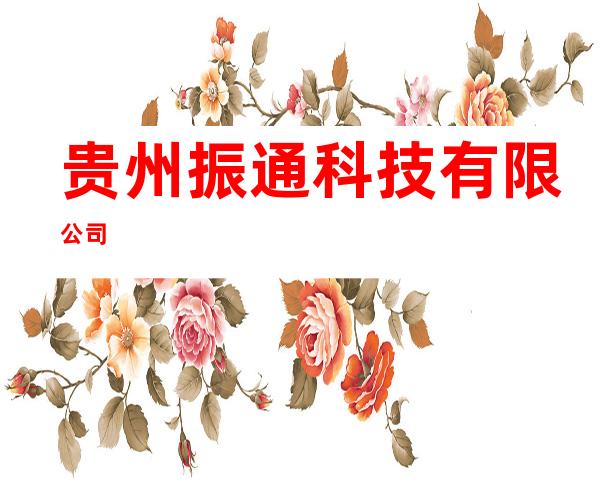 贵州振通科技有限公司
