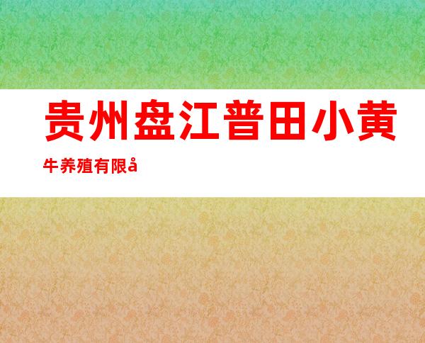 贵州盘江普田小黄牛养殖有限公司