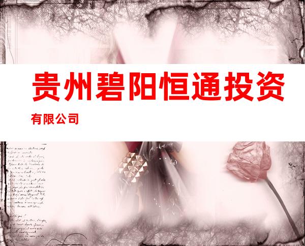贵州碧阳恒通投资有限公司