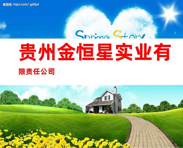 贵州金恒星实业有限责任公司