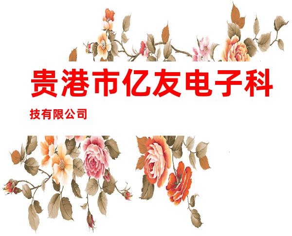 贵港市亿友电子科技有限公司