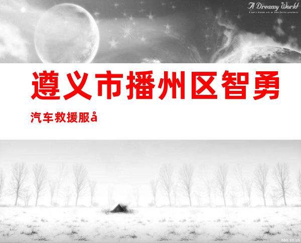 遵义市播州区智勇汽车救援服务部