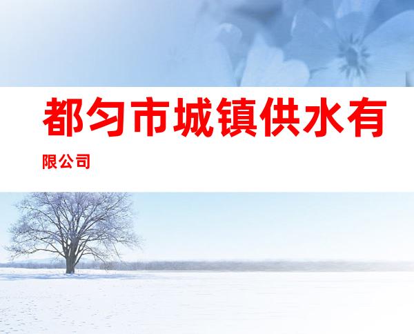 都匀市城镇供水有限公司