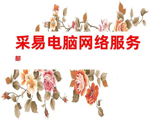 采易电脑网络服务部