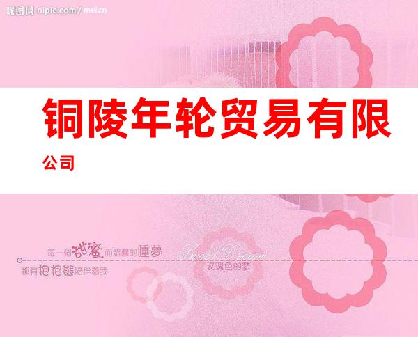 铜陵年轮贸易有限公司