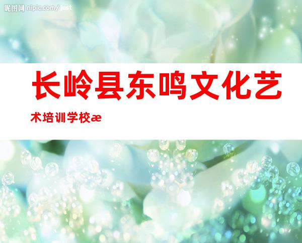 长岭县东鸣文化艺术培训学校有限公司