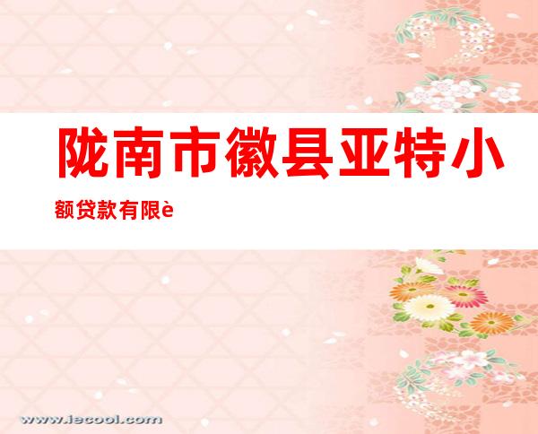 陇南市徽县亚特小额贷款有限责任公司