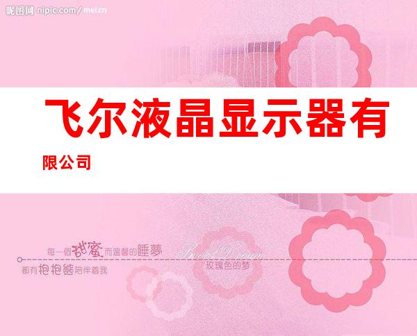 飞尔液晶显示器有限公司