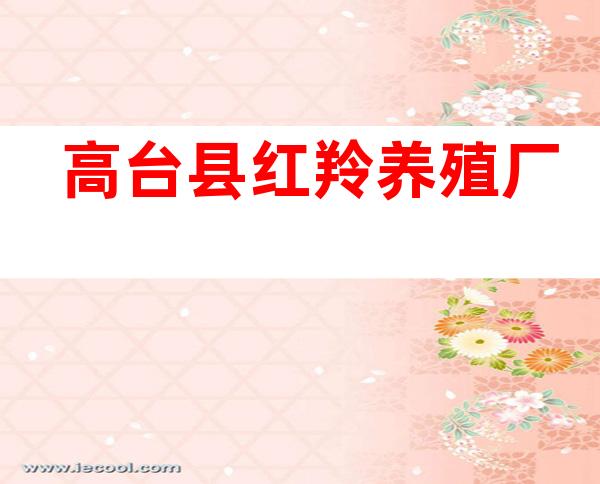 高台县红羚养殖厂