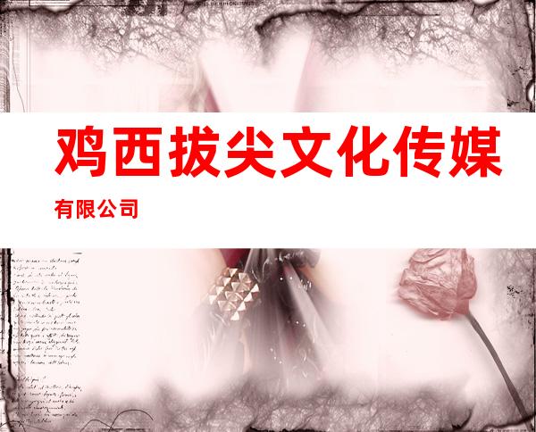 鸡西拔尖文化传媒有限公司
