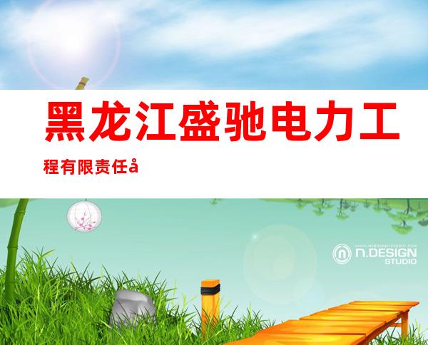 黑龙江盛驰电力工程有限责任公司